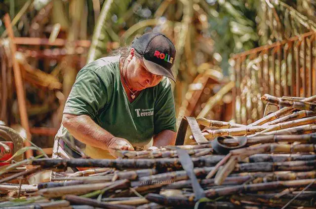 Há 20 anos, Terezinha mudou a vida da família com caldo de cana