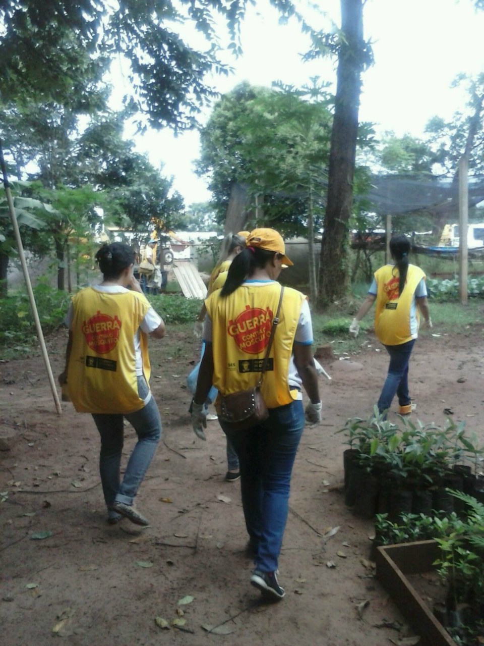 Nova Alvorada do Sul no Combate á dengue