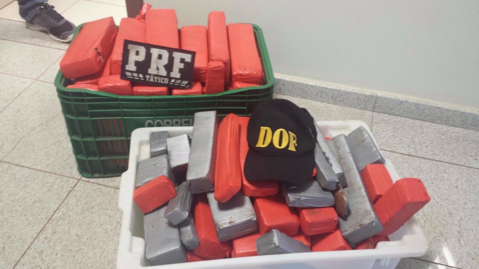 DOF APREENDE MAIS DE 200 Kg DE DROGA POR DIA