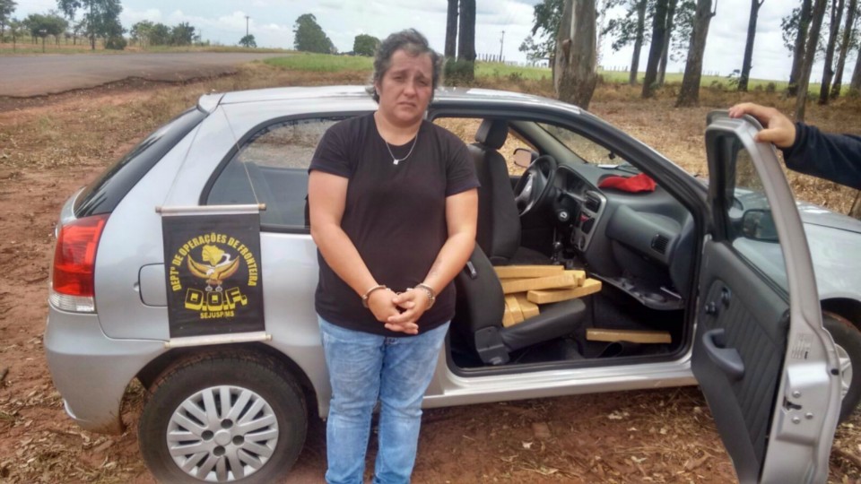 DOF APREENDE MAIS DE 200 Kg DE DROGA POR DIA