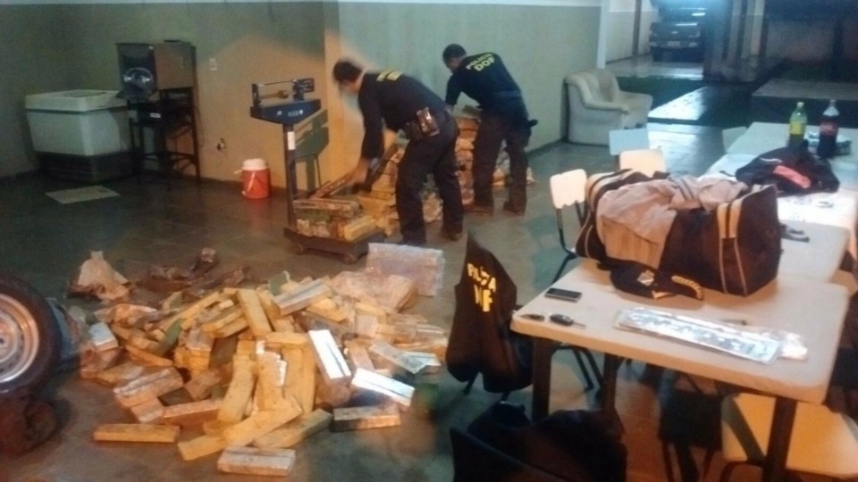 DOF APREENDE MAIS DE 200 Kg DE DROGA POR DIA