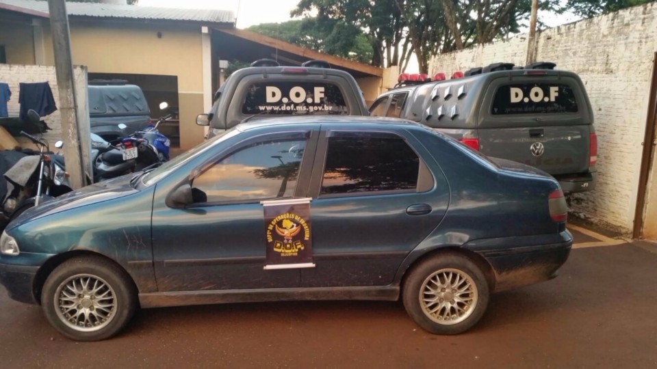 DOF APREENDE MAIS DE 200 Kg DE DROGA POR DIA