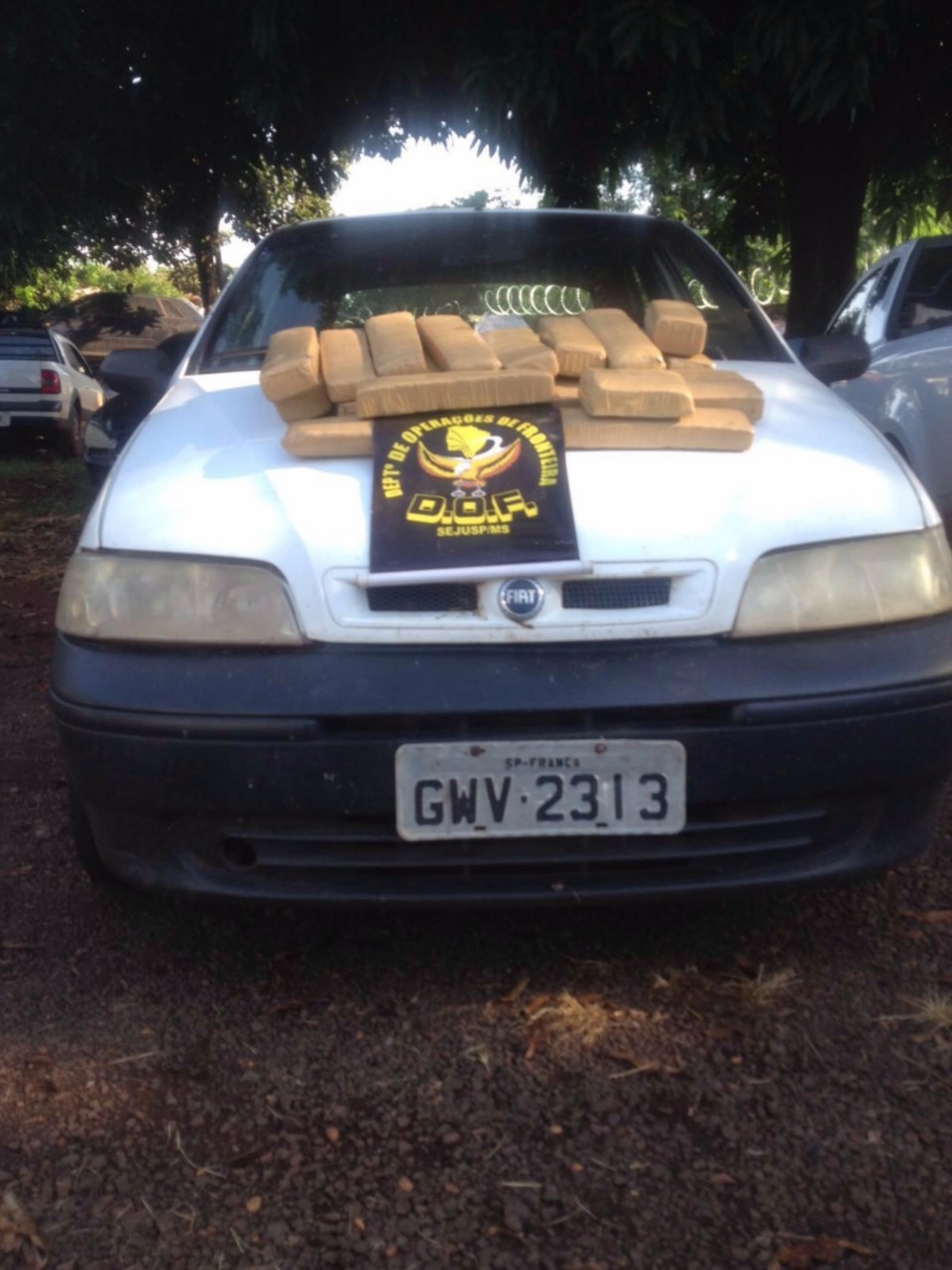 DOF APREENDE MAIS DE 200 Kg DE DROGA POR DIA