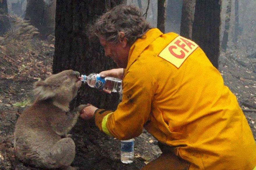 veja as 30 imagens mais impactantes já feitas na internet