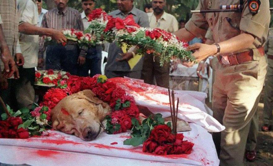 veja as 30 imagens mais impactantes já feitas na internet
