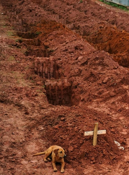 veja as 30 imagens mais impactantes já feitas na internet