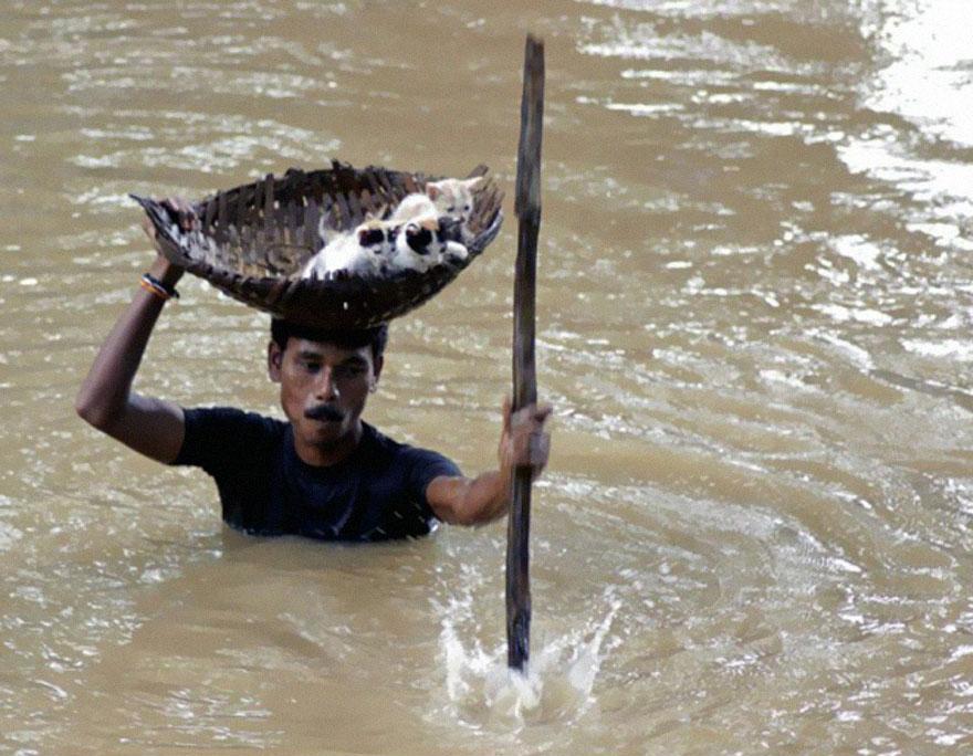 veja as 30 imagens mais impactantes já feitas na internet