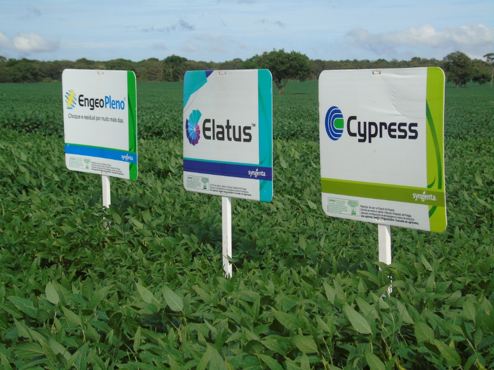 Cooperalfa realiza o primeiro “Dia de Campo Alfa” em Nova Alvorada do Sul