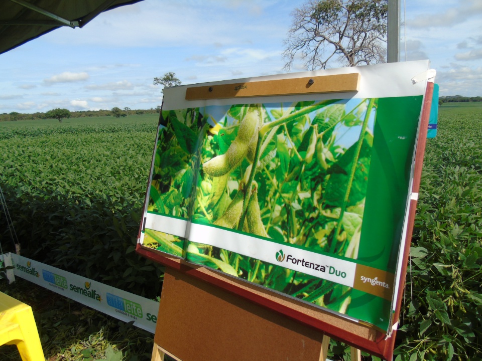 Cooperalfa realiza o primeiro “Dia de Campo Alfa” em Nova Alvorada do Sul