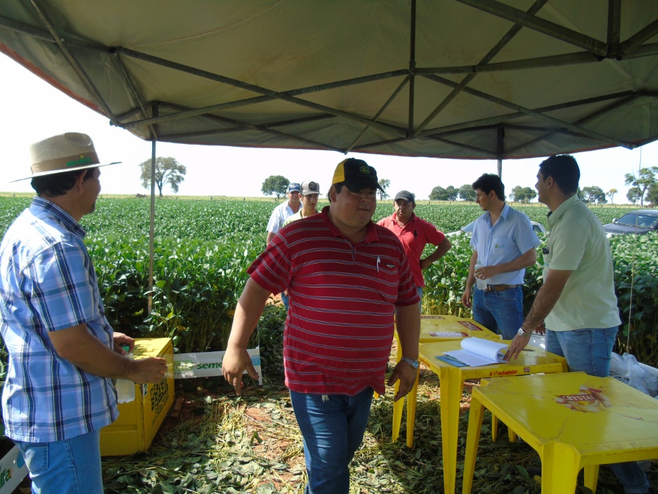 Cooperalfa realiza o primeiro “Dia de Campo Alfa” em Nova Alvorada do Sul