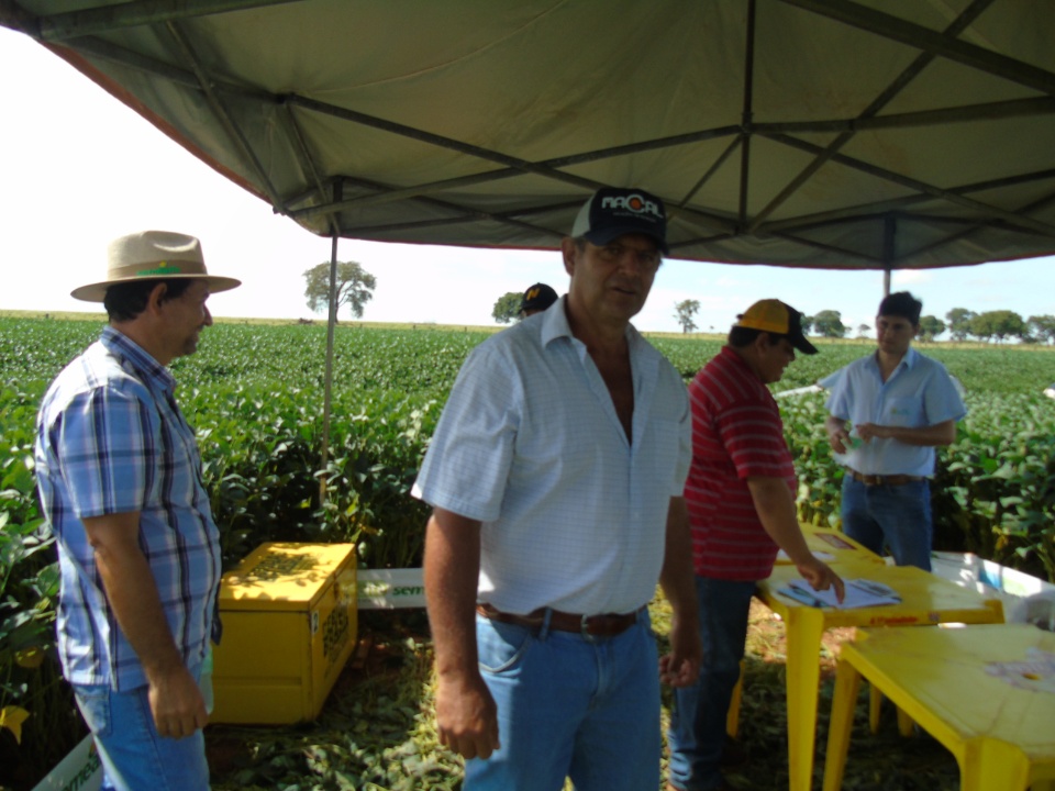 Cooperalfa realiza o primeiro “Dia de Campo Alfa” em Nova Alvorada do Sul