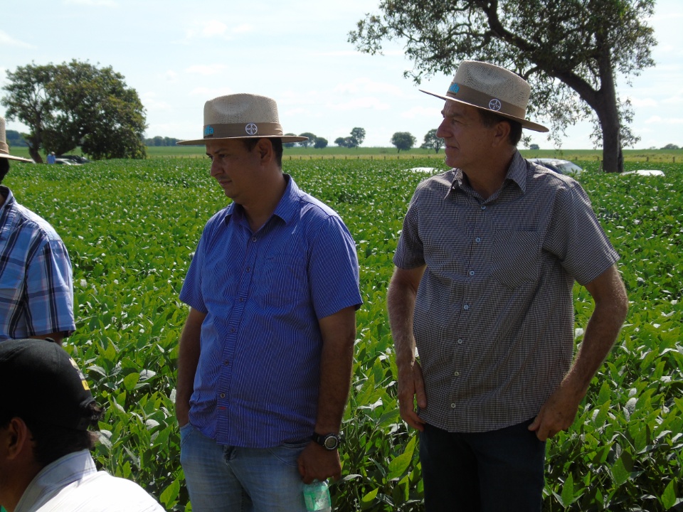 Cooperalfa realiza o primeiro “Dia de Campo Alfa” em Nova Alvorada do Sul