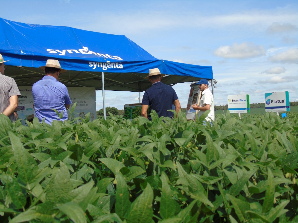 Cooperalfa realiza o primeiro “Dia de Campo Alfa” em Nova Alvorada do Sul