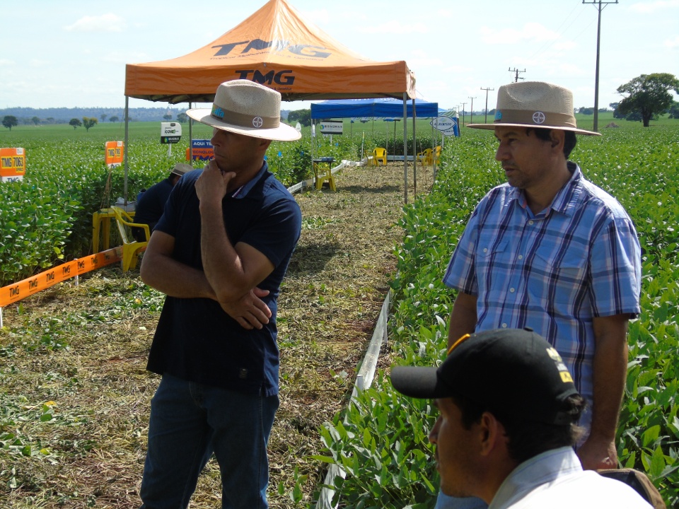 Cooperalfa realiza o primeiro “Dia de Campo Alfa” em Nova Alvorada do Sul