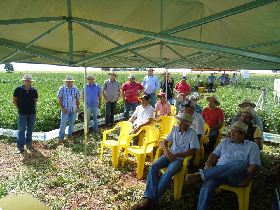 Cooperalfa realiza o primeiro “Dia de Campo Alfa” em Nova Alvorada do Sul