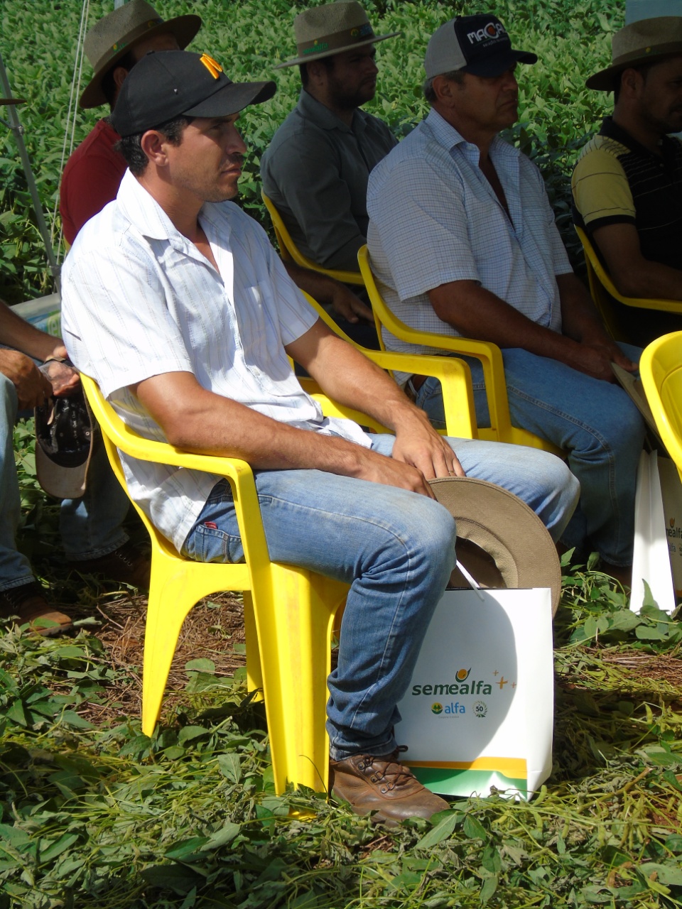 Cooperalfa realiza o primeiro “Dia de Campo Alfa” em Nova Alvorada do Sul