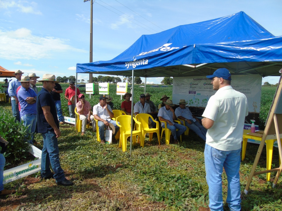 Cooperalfa realiza o primeiro “Dia de Campo Alfa” em Nova Alvorada do Sul