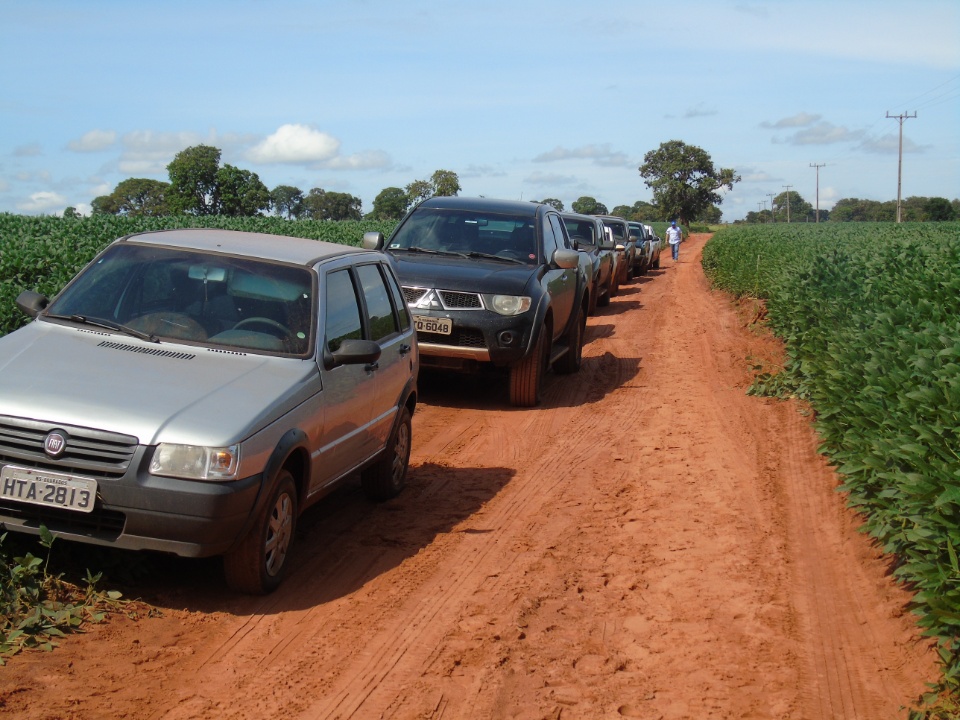 Cooperalfa realiza o primeiro “Dia de Campo Alfa” em Nova Alvorada do Sul