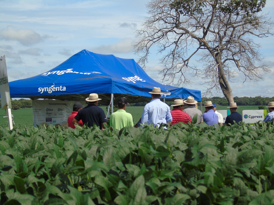 Cooperalfa realiza o primeiro “Dia de Campo Alfa” em Nova Alvorada do Sul