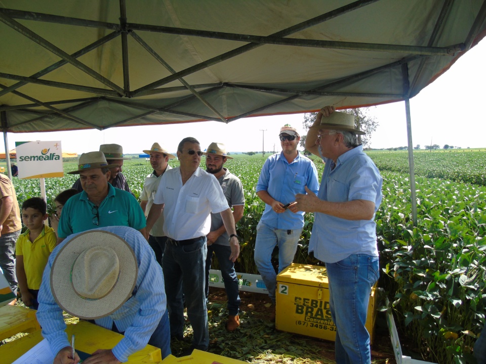 Cooperalfa realiza o primeiro “Dia de Campo Alfa” em Nova Alvorada do Sul