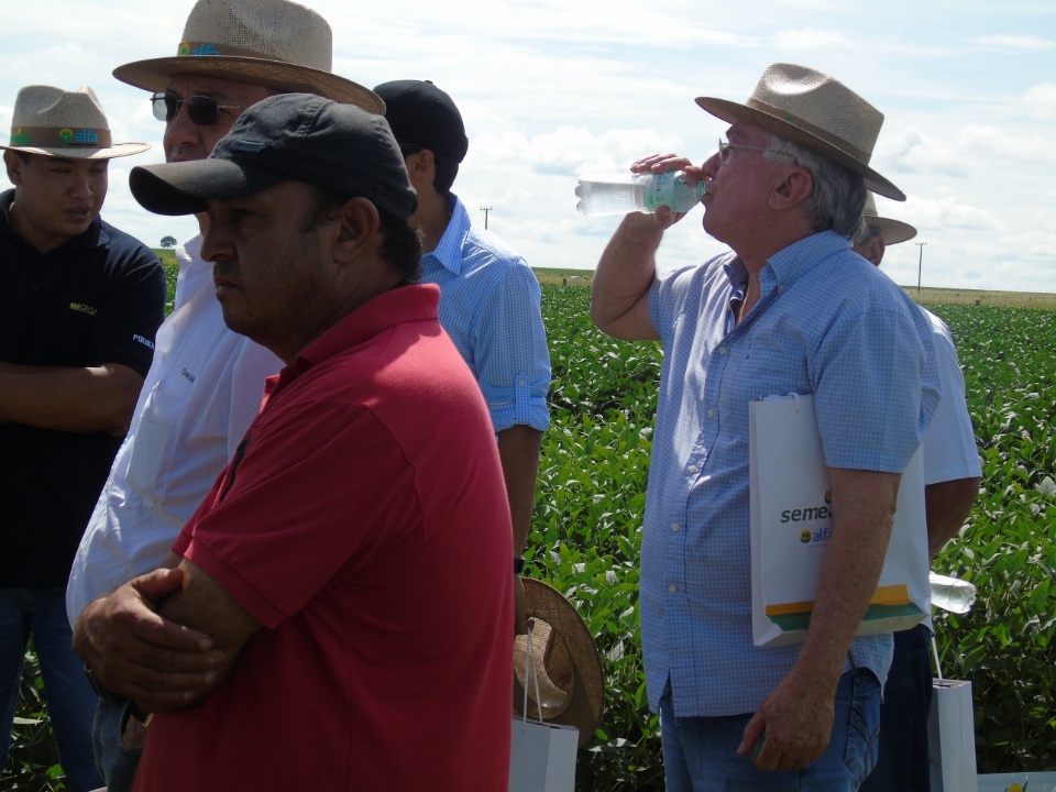 Cooperalfa realiza o primeiro “Dia de Campo Alfa” em Nova Alvorada do Sul