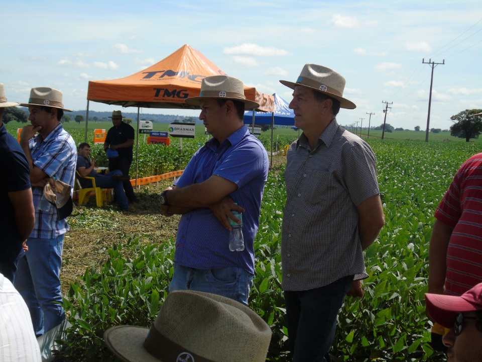 Cooperalfa realiza o primeiro “Dia de Campo Alfa” em Nova Alvorada do Sul