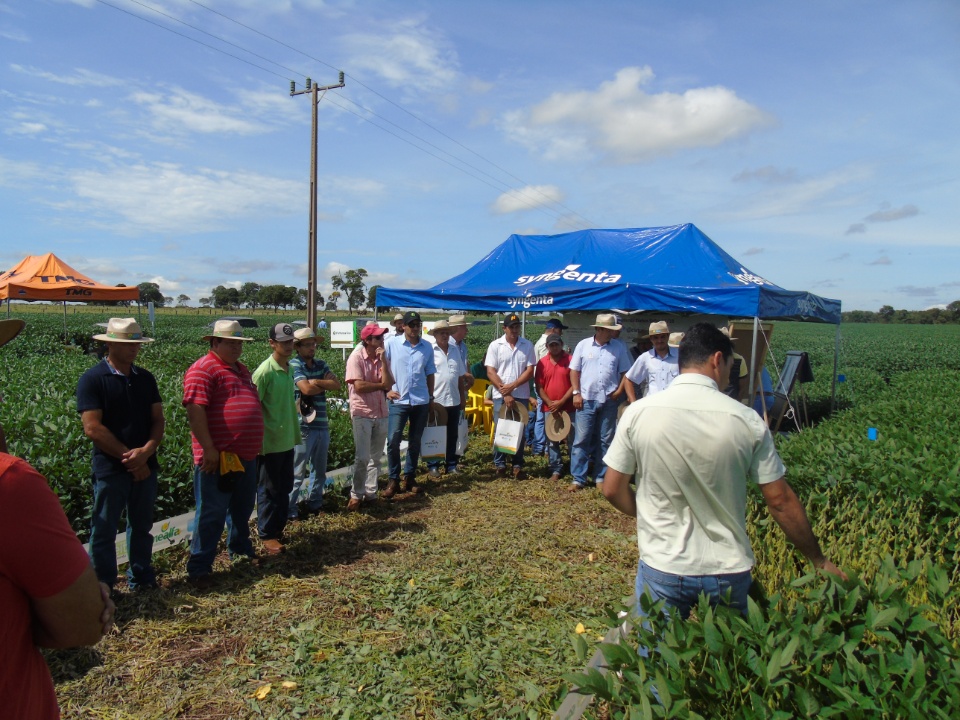 Cooperalfa realiza o primeiro “Dia de Campo Alfa” em Nova Alvorada do Sul