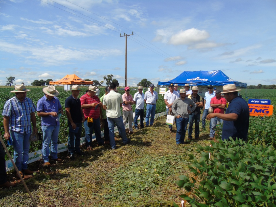 Cooperalfa realiza o primeiro “Dia de Campo Alfa” em Nova Alvorada do Sul