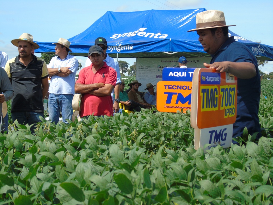 Cooperalfa realiza o primeiro “Dia de Campo Alfa” em Nova Alvorada do Sul