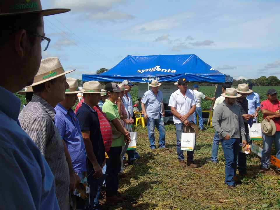 Cooperalfa realiza o primeiro “Dia de Campo Alfa” em Nova Alvorada do Sul