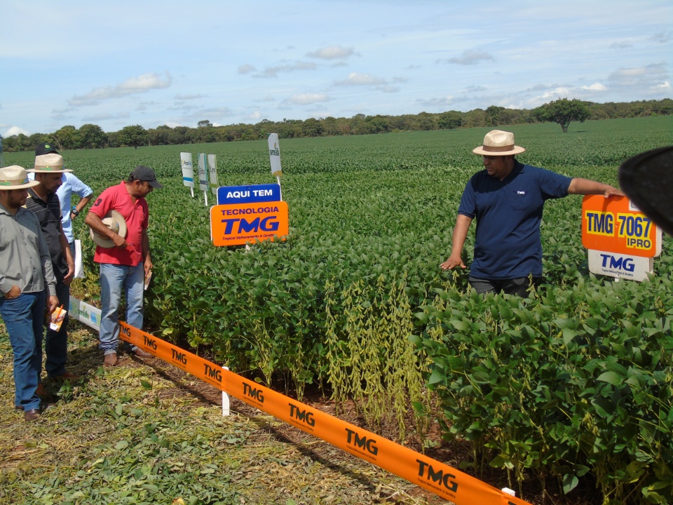 Cooperalfa realiza o primeiro “Dia de Campo Alfa” em Nova Alvorada do Sul