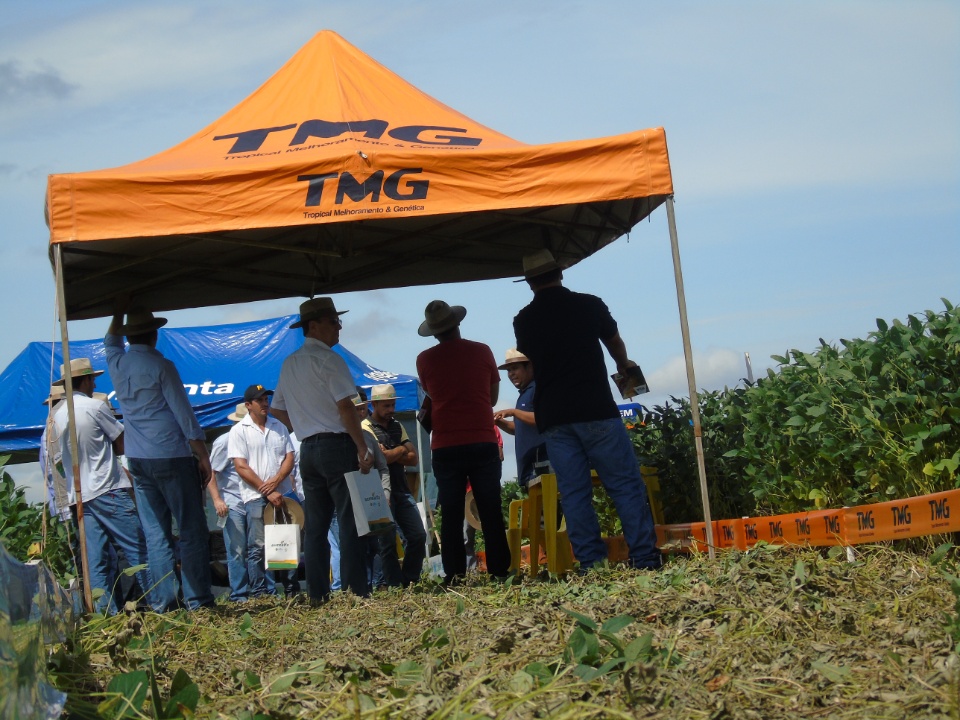 Cooperalfa realiza o primeiro “Dia de Campo Alfa” em Nova Alvorada do Sul