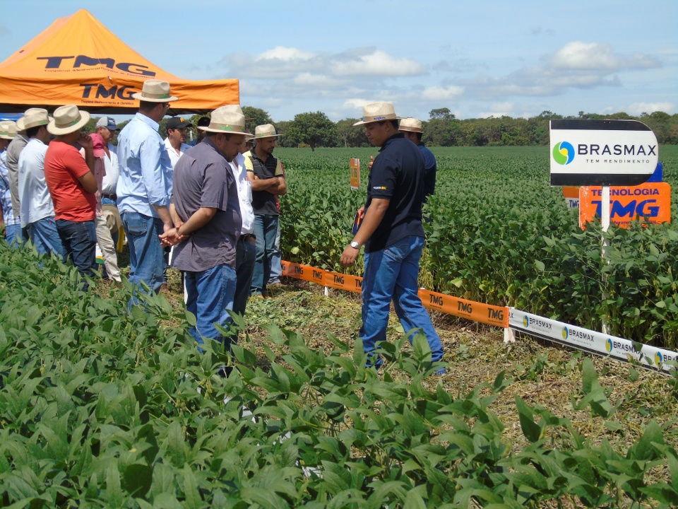 Cooperalfa realiza o primeiro “Dia de Campo Alfa” em Nova Alvorada do Sul
