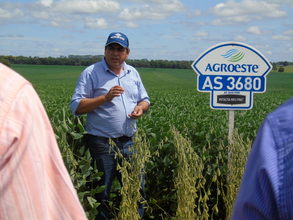 Cooperalfa realiza o primeiro “Dia de Campo Alfa” em Nova Alvorada do Sul