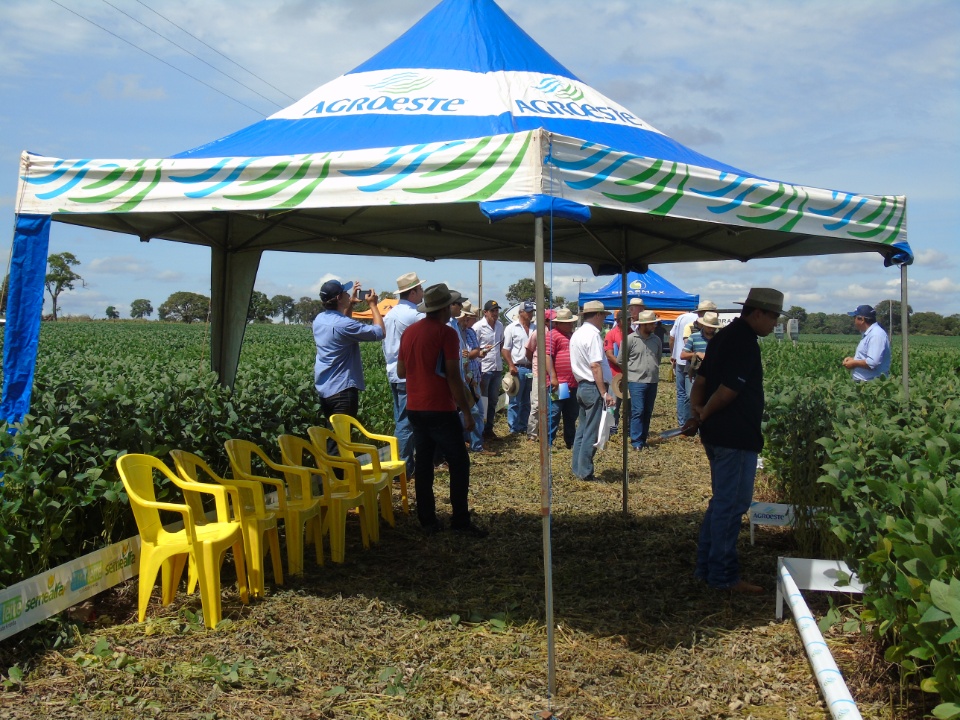Cooperalfa realiza o primeiro “Dia de Campo Alfa” em Nova Alvorada do Sul