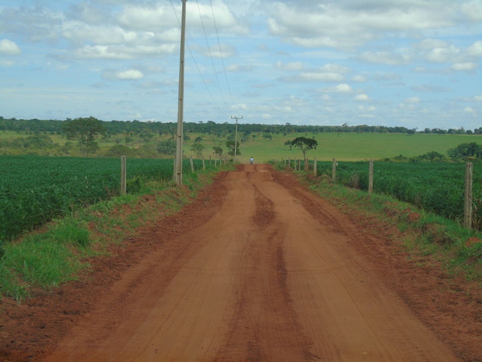 Cooperalfa realiza o primeiro “Dia de Campo Alfa” em Nova Alvorada do Sul