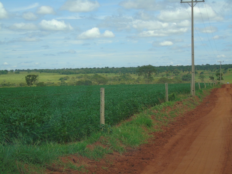 Cooperalfa realiza o primeiro “Dia de Campo Alfa” em Nova Alvorada do Sul