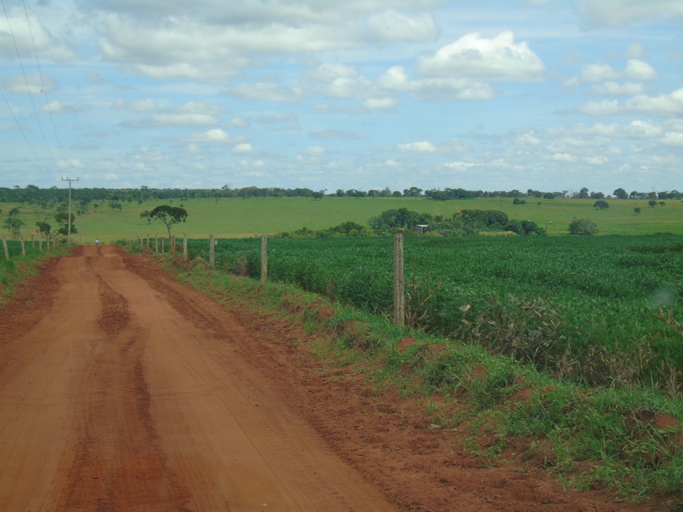 Cooperalfa realiza o primeiro “Dia de Campo Alfa” em Nova Alvorada do Sul