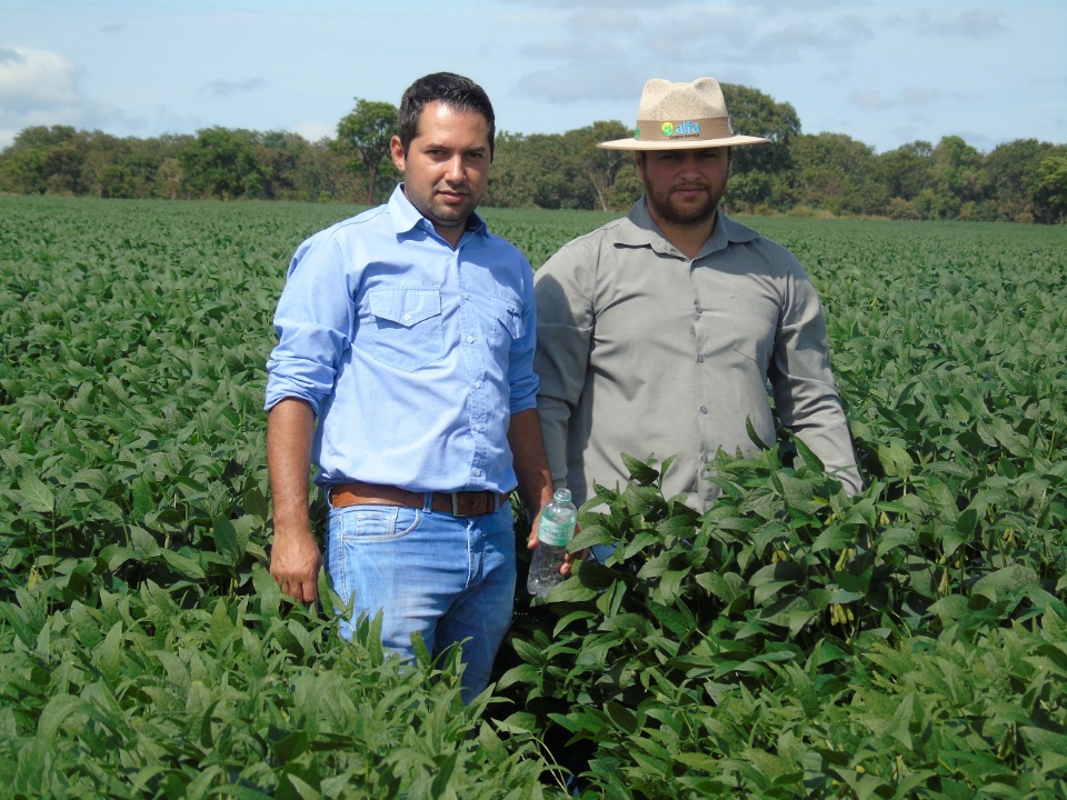 Cooperalfa realiza o primeiro “Dia de Campo Alfa” em Nova Alvorada do Sul