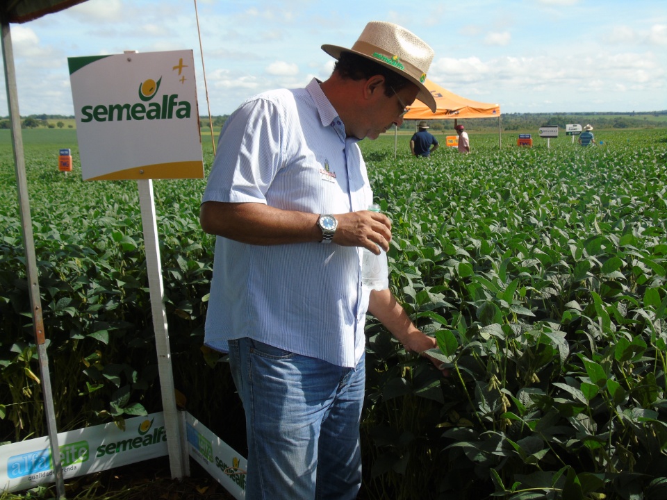 Cooperalfa realiza o primeiro “Dia de Campo Alfa” em Nova Alvorada do Sul