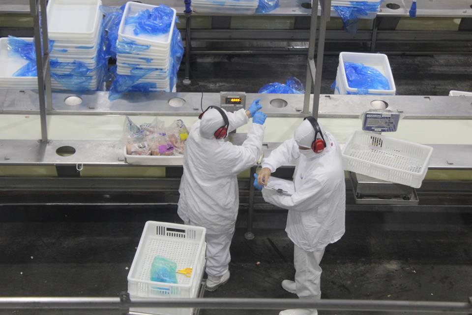 Prefeito Juvenal Neto busca desenvolvimento para Nova Alvorada do Sul Prefeito Juvenal Neto busca desenvolvimento para Nova Alvorada do Sul