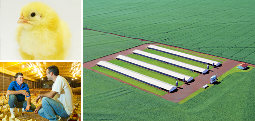 Prefeito Juvenal Neto busca desenvolvimento para Nova Alvorada do Sul Prefeito Juvenal Neto busca desenvolvimento para Nova Alvorada do Sul