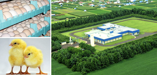 Prefeito Juvenal Neto busca desenvolvimento para Nova Alvorada do Sul Prefeito Juvenal Neto busca desenvolvimento para Nova Alvorada do Sul