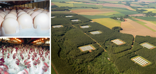 Prefeito Juvenal Neto busca desenvolvimento para Nova Alvorada do Sul Prefeito Juvenal Neto busca desenvolvimento para Nova Alvorada do Sul