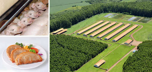 Prefeito Juvenal Neto busca desenvolvimento para Nova Alvorada do Sul Prefeito Juvenal Neto busca desenvolvimento para Nova Alvorada do Sul