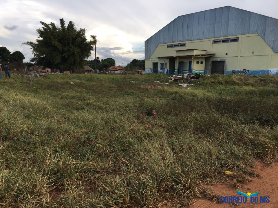 Em Bandeirantes limpeza de terreno da APAE vai parar no tribunal