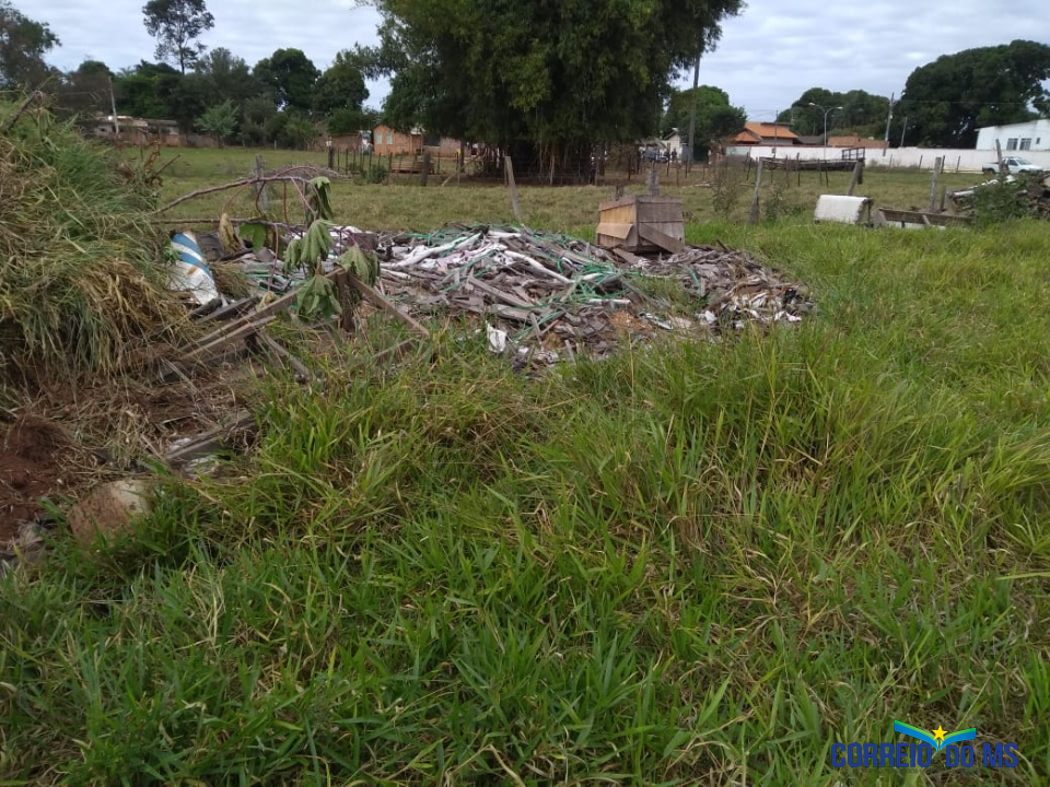 Em Bandeirantes limpeza de terreno da APAE vai parar no tribunal
