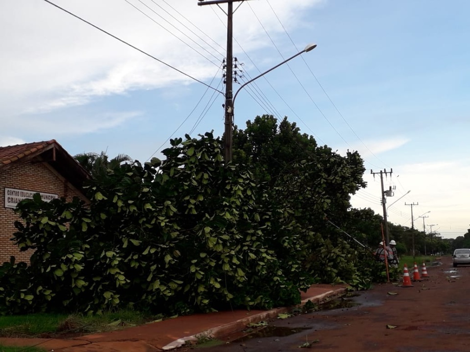 Temporal deixa rastro de destruição em Prudêncio Thomaz e Vereador mobiliza autoridades
