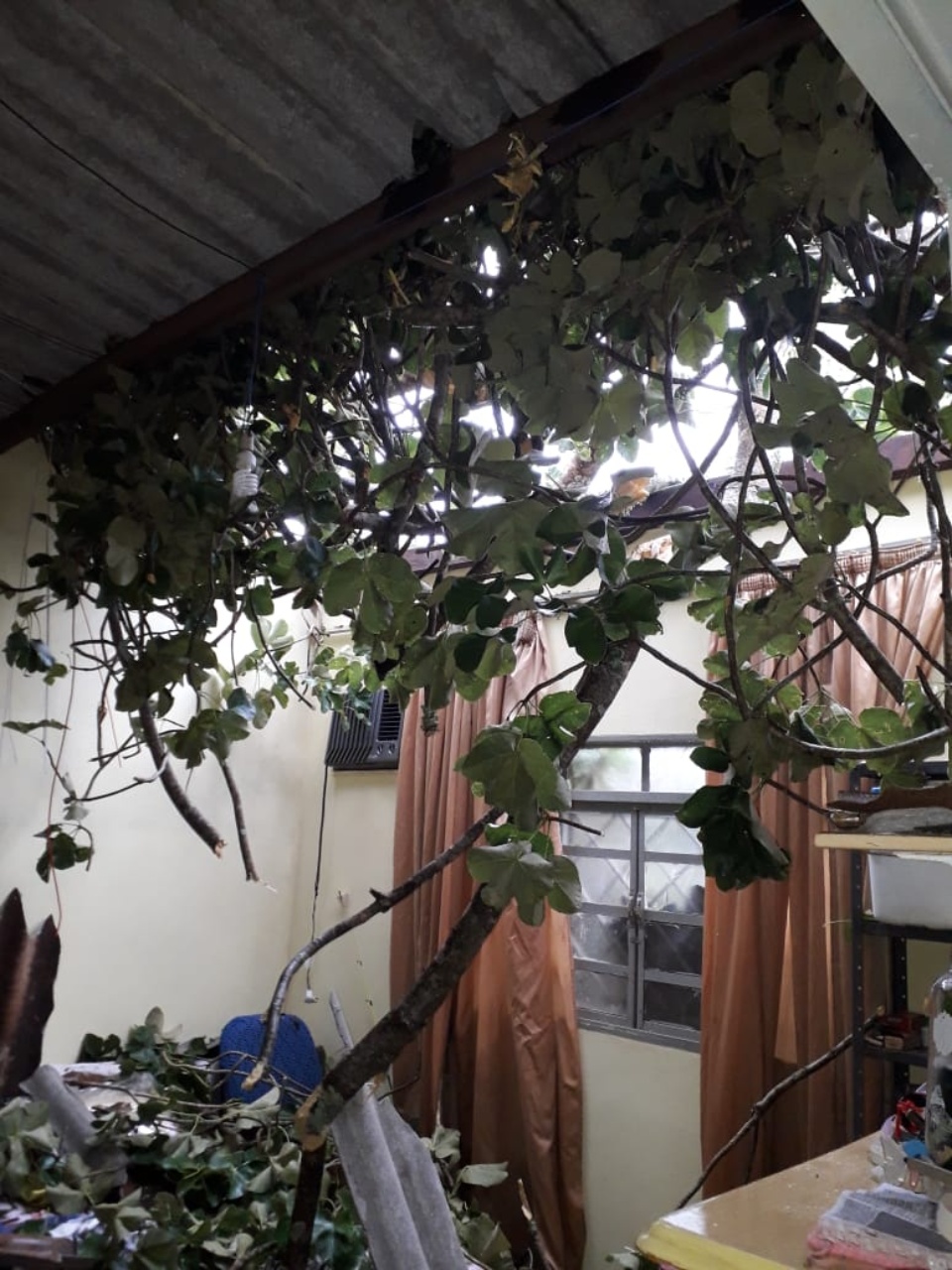 Temporal deixa rastro de destruição em Prudêncio Thomaz e Vereador mobiliza autoridades