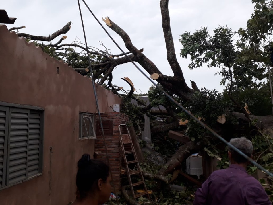 Temporal deixa rastro de destruição em Prudêncio Thomaz e Vereador mobiliza autoridades